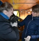Ветеринарная клиника Курганская областная общественная организация защиты животных на улице Володарского Фото 8 на проекте VetSpravka.ru